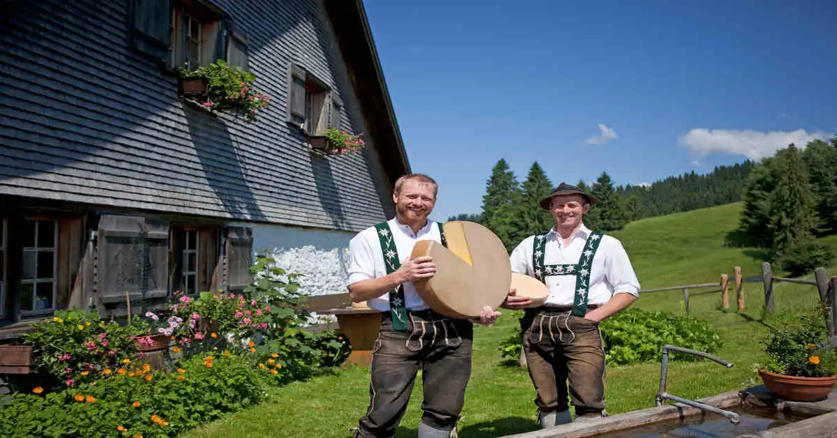 Kräuter Gewürz-Leitfaden